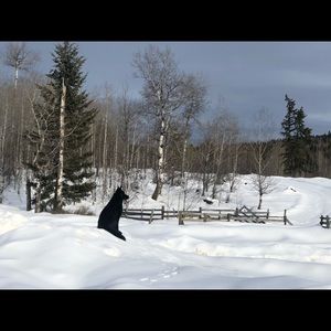 Meet your Posher, Angie